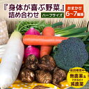 【ふるさと納税】<ハーフサイズ> 『身体が喜ぶ野菜』詰め合わせ ( おまかせ ) 野菜 詰合せ 詰め合わせセット お任せ 季節の野菜 セット 栽培期間中農薬不使用 有機栽培 微生物農法 EM農法 露地栽培 産地直送 新鮮 野菜ボックス ギフト 家庭用 茨城県 潮来市 (A03-002)