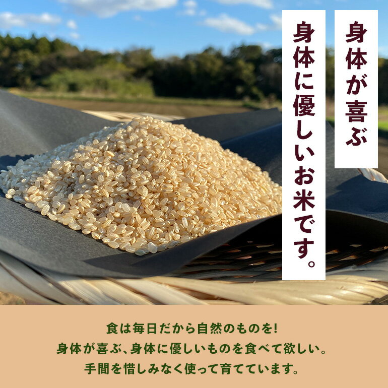 【ふるさと納税】 ＜玄米 5kg＞『身体が喜ぶ野菜とお米』詰め合わせ おまかせセット 茨城県産 コシヒカリ 米 お米 ご飯 ごはん 栽培期間中農薬不使用 季節の野菜 セット 微生物農法 EM農法 有機栽培 産地直送 新鮮 家庭用 潮来はぐくみのもり 茨城県 潮来市 (A03-003)