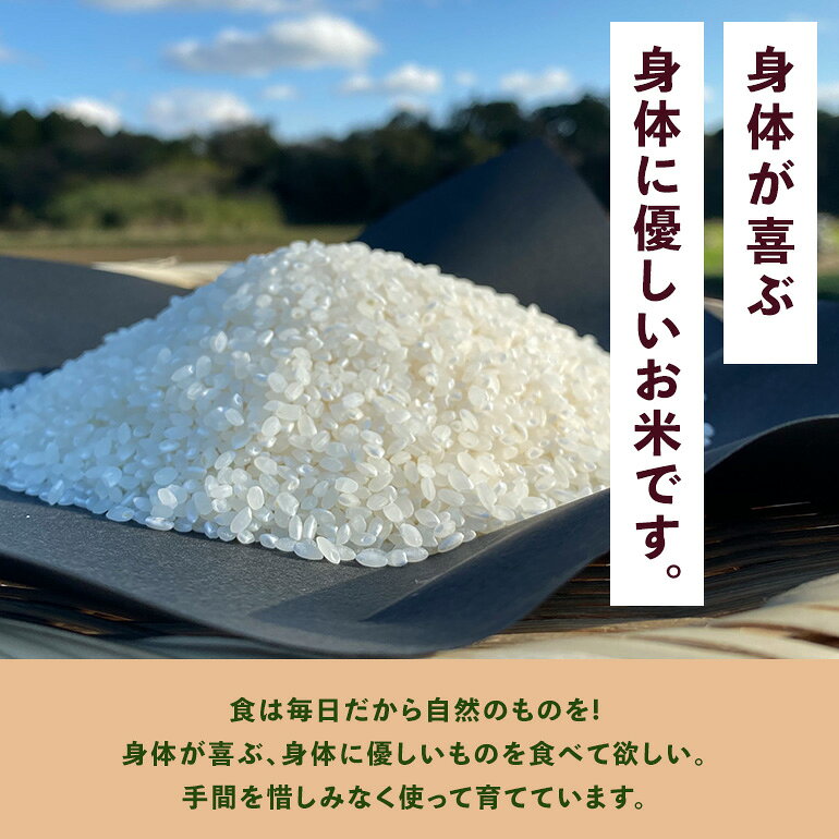 【ふるさと納税】 ＜白米 5kg＞『身体が喜ぶ野菜とお米』詰め合わせ おまかせセット 茨城県産 コシヒカリ 米 お米 ご飯 ごはん 栽培期間中農薬不使用 季節の野菜 セット 微生物農法 EM農法 有機栽培 産地直送 新鮮 家庭用 潮来はぐくみのもり 茨城県 潮来市 (017-0100) f082236-itako-10000761 茨城県潮来市 サンプル画像3