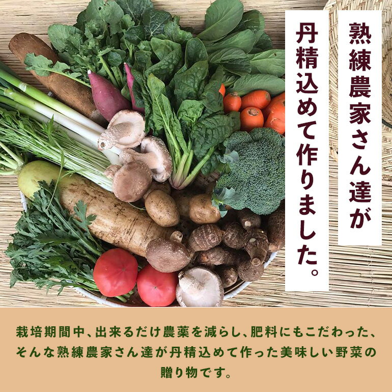 【ふるさと納税】 ＜玄米 2kg＞『身体が喜ぶ野菜とお米』詰め合わせ おまかせセット 茨城県産 コシヒカリ 米 お米 ご飯 ごはん 栽培期間中農薬不使用 季節の野菜 セット 微生物農法 EM農法 有機栽培 産地直送 新鮮 家庭用 潮来はぐくみのもり 茨城県 潮来市 (A03-005)