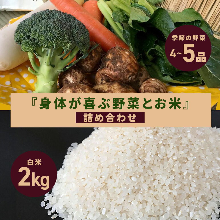 【ふるさと納税】 <白米 2kg>『身体が喜ぶ野菜とお米』詰め合わせ おまかせセット 茨城県産 コシヒカリ 米 お米 ご飯 ごはん 栽培期間中農薬不使用 季節の...