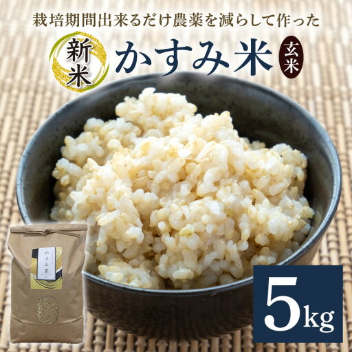 【ふるさと納税】 令和7年産新米 玄米 5kg 栽培期間出来るだけ農薬を減らして作った「かすみ米」 茨城県産 コシヒカリ 米 お米 ご飯 ごはん 低農薬 しめじ菌床活用 甘み豊か 粘土質土壌育ち 健康志向 自然栽培 産地直送 贈答用 ギフト 茨城県 潮来市 (A03-008) 【ふるさと納税】 令和7年産新米 玄米 5kg 栽培期間出来るだけ農薬を減らして作った「かすみ米」 茨城県産 コシヒカリ 米 お米 ご飯 ごはん 低農薬 しめじ菌床活用 甘み豊か 粘土質土壌育ち 健康志向 自然栽培 産地直送 贈答用 ギフト 茨城県 潮来市 (A03-008)