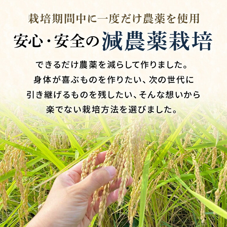 【ふるさと納税】 令和7年産新米 白米 10kg 栽培期間出来るだけ農薬を減らして作った「かすみ米」 茨城県産 コシヒカリ 米 お米 ご飯 ごはん 低農薬 しめじ菌床活用 甘み豊か 粘土質土壌育ち 健康志向 自然栽培 産地直送 贈答用 ギフト 茨城県 潮来市 (A03-009)
