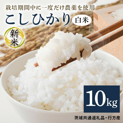 【ふるさと納税】 令和7年産新米 白米 10kg 栽培期間中できるだけ農薬を減らした< こしひかり> 茨城県産 米 お米 コメ ご飯 コシヒカリ 食味豊か 甘み 旨み 冷めても 美味しい お弁当 向け 食卓常備 産地直送 茨城県 潮来市 <茨城県共通返礼品・行方市産> (A03-018) 【ふるさと納税】 令和7年産新米 白米 10kg 栽培期間中できるだけ農薬を減らした< こしひかり> 茨城県産 米 お米 コメ ご飯 コシヒカリ 食味豊か 甘み 旨み 冷めても 美味しい お弁当 向け 食卓常備 産地直送 茨城県 潮来市 <茨城県共通返礼品・行方市産> (A03-018)