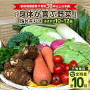 【ふるさと納税】 <発送月固定定期便>『身体が喜ぶ野菜』詰め合わせ ( おまかせ 10〜12品) 定期便 野菜 詰合せ 下旬発送全10回 詰め合わせセット お任...