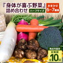 【ふるさと納税】 <発送月固定定期便>『身体が喜ぶ野菜』詰め合わせ ( おまかせ ハーフサイズ) 定期便 野菜 詰合せ 全10回 詰め合わせセット お任せ 野菜...