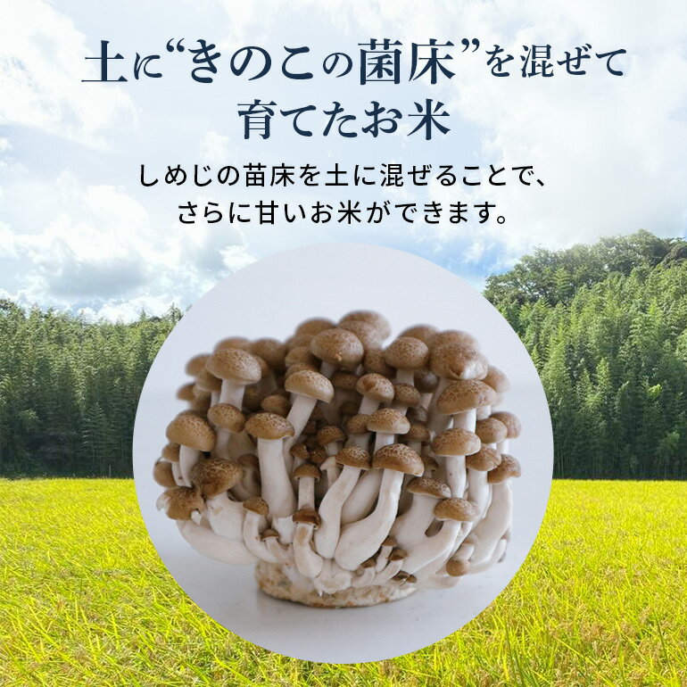 茨城県潮来市の画像3