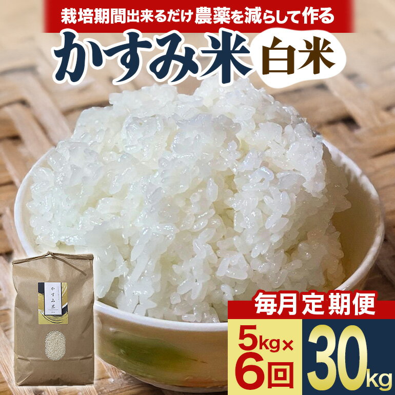 【ふるさと納税】 【毎月定期便】心と身体が踊りだす栽培期間中出来るだけ農薬を減らして作る「かすみ米」白米 5kg 全6回 お米 米 国産米 茨城県 潮来市 (A...