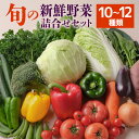 【ふるさと納税】 旬の新鮮野菜 詰め合わせセット 10〜12種類 季節の野菜 農家直送 朝採れ 採れたて 野菜 詰合せ セット 詰め合わせ シャキシャキ 産地直...
