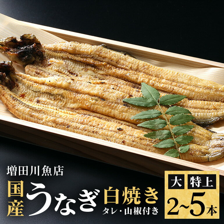 【ふるさと納税】 増田川魚店うなぎ白焼 選べる <特上> <大> 2本~5本 うなぎ 白焼き 愛知県三河産 国産 ウナギ 鰻 しらやき タレ 山椒付き 炭火焼き 冷蔵便 贈答用 ギフト 家庭用 土用の丑 茨城県 潮来市 (A07-001)