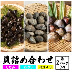 【ふるさと納税】 貝詰め合わせ しじみ 120g×2 あさり 120g×2 はまぐり 300g×2 加熱済 国産 茨城県産 鹿島灘 涸沼川 砂抜き不要 酒蒸し お吸い物 つくだ煮 パスタ 貝専門店の厳選品 贈答用 ギフト 常温 茨城県 潮来市 (A14-003)