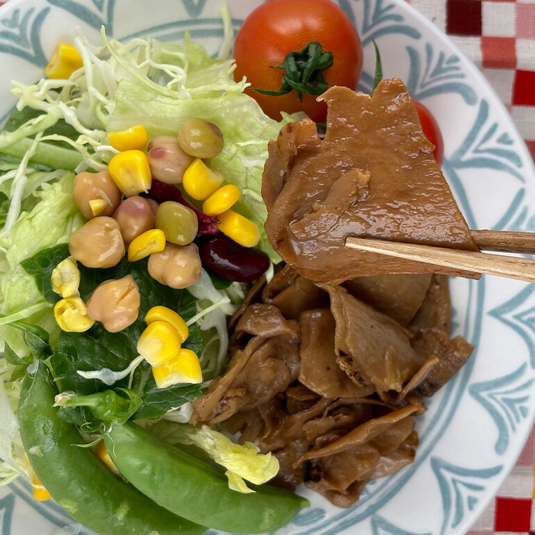 【ふるさと納税】 国産有機大豆ミート生姜焼き 100g×10パック 植物性原料使用 ヴィーガン対応 JAS認証取得 お肉のような食感 ボリューム満点 ヘルシー食品 健康志向 冷凍保存 簡単調理 茨城県 潮来市 (A61-002)