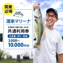 【ふるさと納税】潮来マリーナ 施設内共通利用券 釣り 関東近辺 関東地方 首都圏 釣り堀 管理池 釣堀 へらブナ ブラックバス ニジマス 駐艇 釣り体験 レジャ...