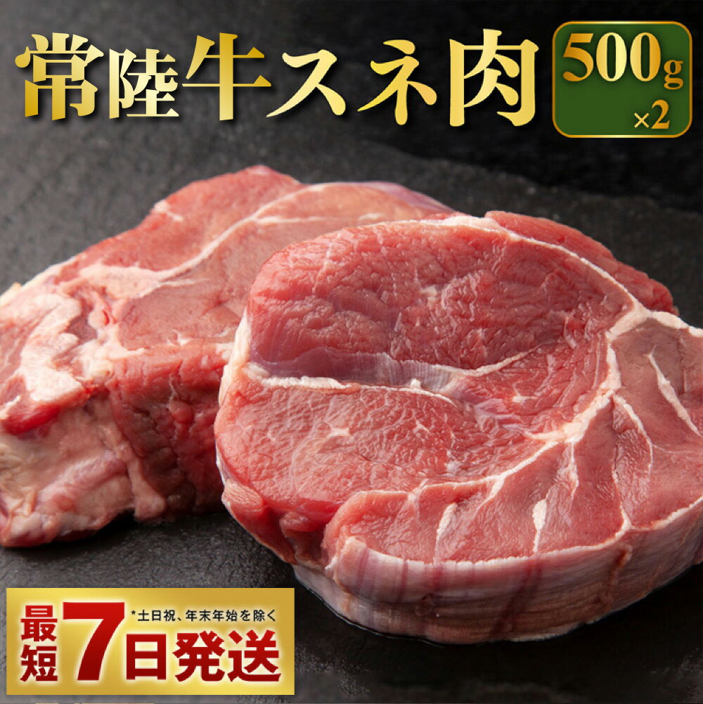 【ふるさと納税】常陸牛すね肉 500g�