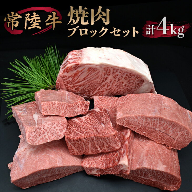 【ふるさと納税】焼肉ブロックセット【サーロイン ミスジ カルビ カタバラ バラ お肉 焼肉 食べ比べ やきにく ステーキ 厚切り かたまり ブロック肉 冷凍】