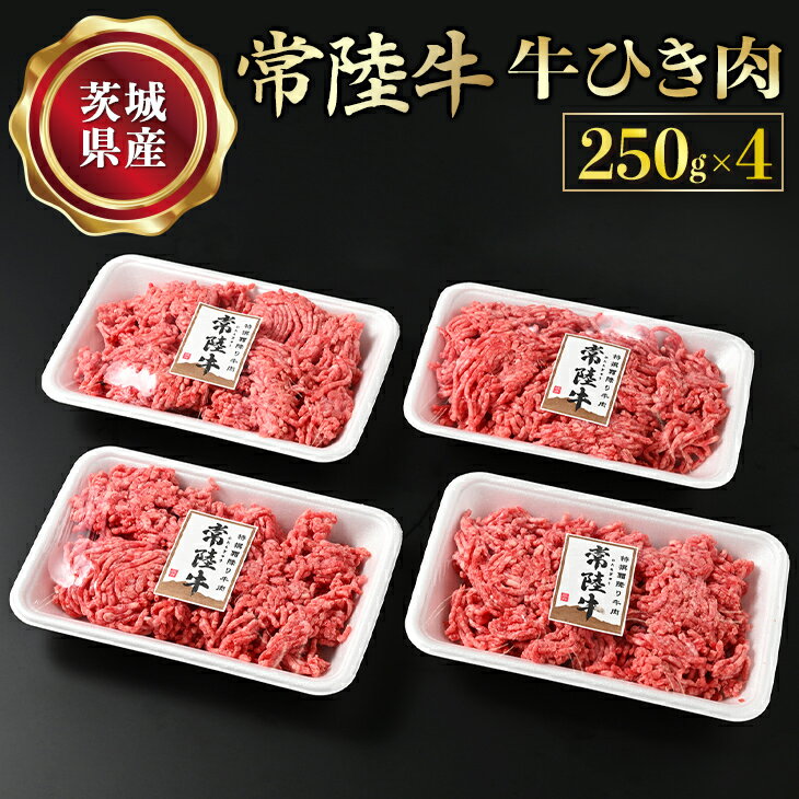 [常陸牛]牛ひき肉 250g×4 合計1kg 藤井商店 常陸牛ひき肉 常陸牛 国産牛 和牛 牛肉 ひき肉 ひきにく 挽肉 挽き肉 牛挽肉 牛挽き肉 4P パック セット 小分け ミンチ ハンバーグ メンチカツ コロッケ 国産 茨城県産 冷凍 送料無料