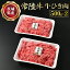 【ふるさと納税】【常陸牛】牛ひき肉 500g×2 合計1kg 藤井商店 常陸牛ひき肉 常陸牛 国産牛 和牛 牛肉 ひき肉 ひきにく 挽肉 挽き肉 牛挽肉 牛挽き肉 2P パック セット 小分け ミンチ ハンバーグ メンチカツ コロッケ 国産 茨城県産 冷凍 送料無料