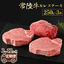 【ふるさと納税】【定期便】【常陸牛】ヒレステーキ 250g × 3枚 ＜定期便 2～12ヶ月＞ 藤井商店 最高級 希少 常陸牛ヒレステーキ 常陸牛 国産牛 和牛 牛肉 ヒレ肉 肉 ヒレ ステーキ 牛ヒレ 牛ヒレ肉 牛ヒレステーキ 赤身 国産 茨城県産 定期便 冷凍 送料無料