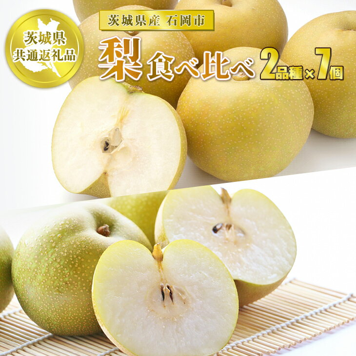 【ふるさと納税】【先行予約】梨2品種【茨城県共通返礼品 石岡市】 梨 なし 果物 フルーツ 2品種×7個 合計14個 お取り寄せ ※2025年8月下旬~10月下旬頃より順次発送予定