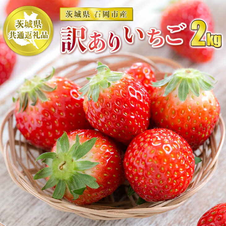 【ふるさと納税】訳ありいちご 2kg【茨城県共通返礼品 石岡市】※2023年12月上旬～2024年4月下旬頃に順次発送予定