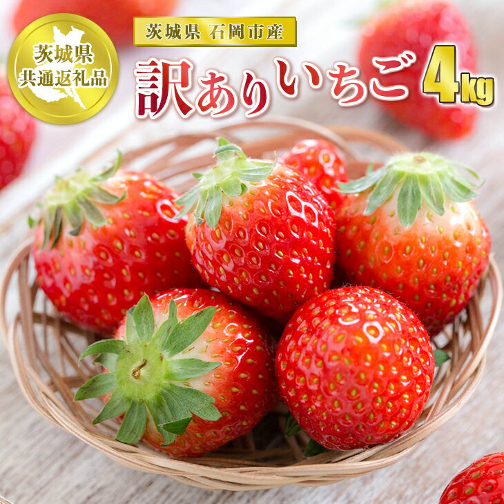 【ふるさと納税】訳ありいちご 4kg【茨城県共通返礼品 石岡市】※2023年12月上旬～2024年4月下旬頃に順次発送予定