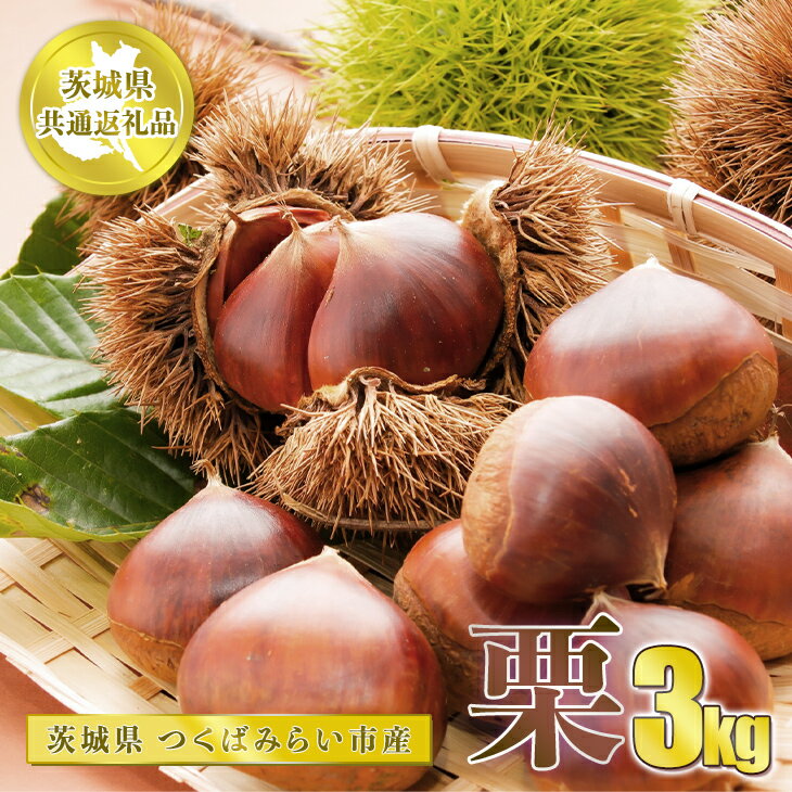 【ふるさと納税】栗 3kg【茨城県共通返礼品 つくばみらい市】 2024年10月上旬～10月下旬頃に順次発送予定