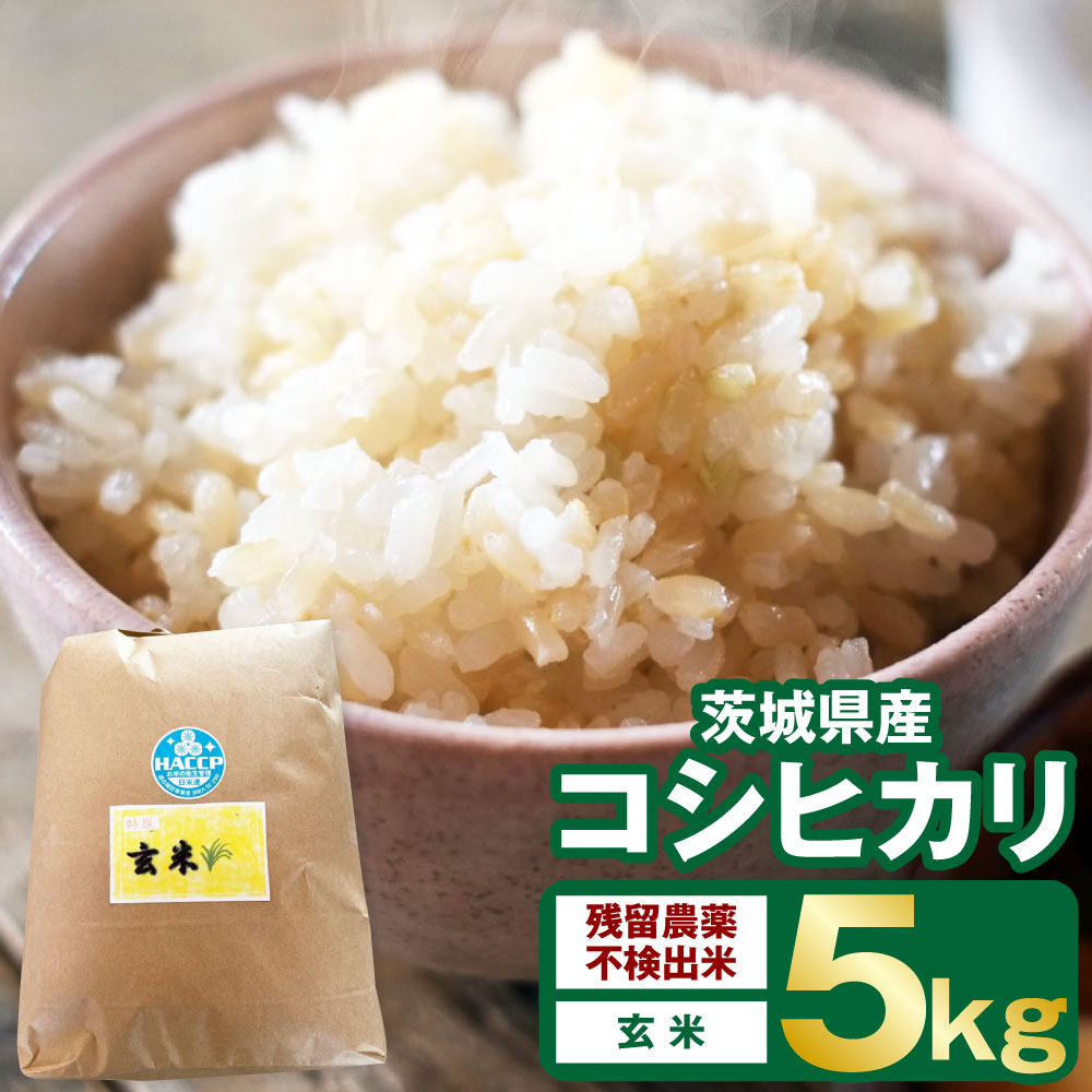 【ふるさと納税】【残留農薬不検出米】茨城県産 コシヒカリ 5