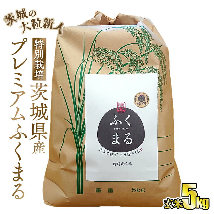 【ふるさと納税】☆茨城の大粒新人 プレミアムふくまる特別栽培米 5kg【玄米】