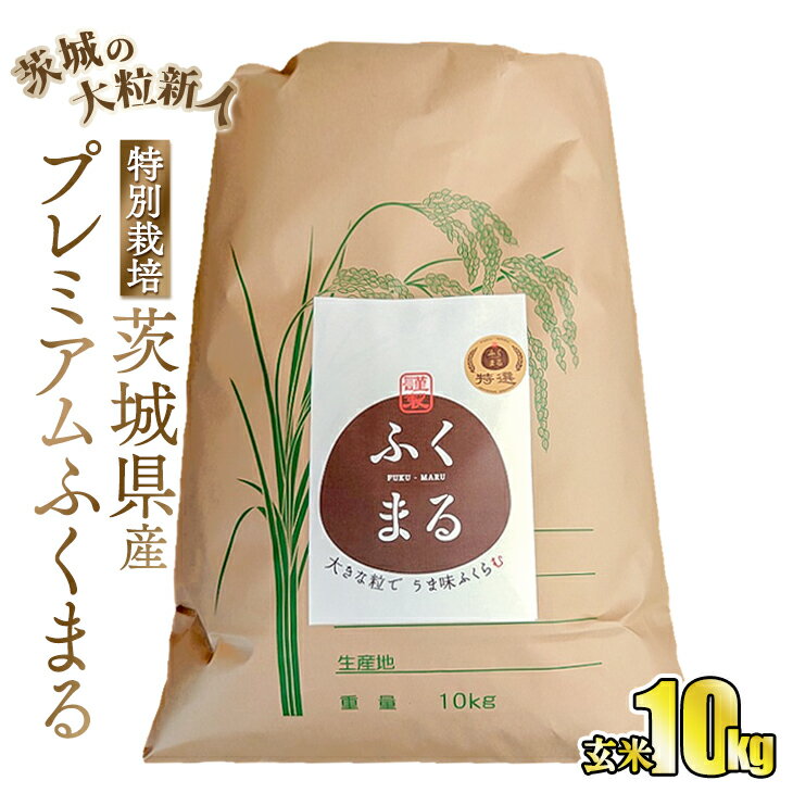 【ふるさと納税】☆茨城の大粒新人 プレミアムふくまる特別栽培米10kg【玄米】