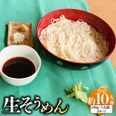 【ふるさと納税】生そうめん100g×5人前×2セット | 合計10人前 辛汁 約540g(54cc×10本) 合計約1.5kg 麺 めん そうめん 生そうめん ...