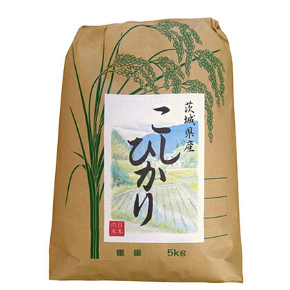 【ふるさと納税】令和元年産 茨城コシヒカリ5kg【白米発送】　【お米・コシヒカリ・茨...