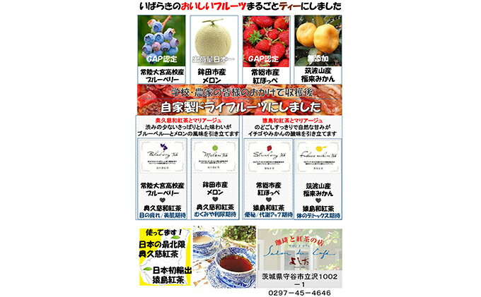 【ふるさと納税】茨城の恵み まるごとフルーツティー（ティーバッグ4種）　【紅茶】