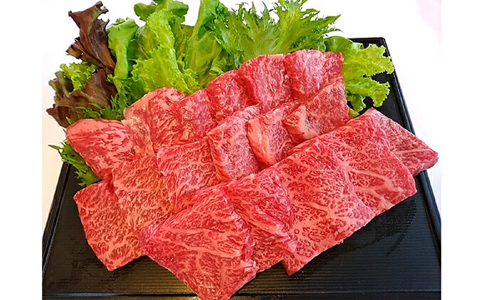 茨城県守谷市の画像2