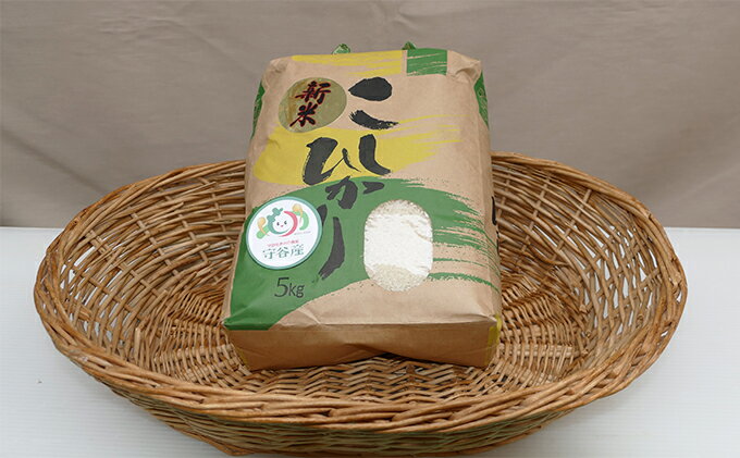 茨城県守谷市の画像2