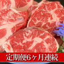 【ふるさと納税】【定期便】【国産】牛スネ肉500g×2　6ヶ月連続お届け【定期便・牛肉・スネ・牛スネ肉・6ヶ月・6回・半年】