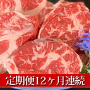 【ふるさと納税】【定期便】【国産】牛スネ肉500g×2　12ヶ月連続お届け【定期便・牛肉・スネ・牛スネ肉・12ヶ月・12回・1年】