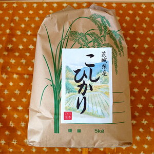 【ふるさと納税】☆☆煌めく艶　令和三年産　茨城県産コシヒカリ5kg【玄米発送】　【玄米・お米・コシヒカリ】　お届け：2021年9月15日〜2022年8月31日