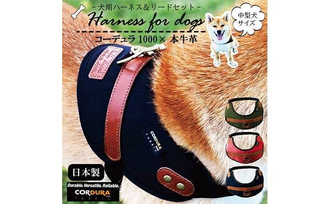 茨城県守谷市の画像2