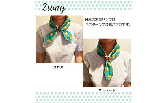 茨城県守谷市の画像3