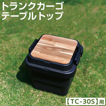 トランクカーゴ【TC-30S】用 テーブルトップ　【アウトドア・キャンプ・天板・木製】