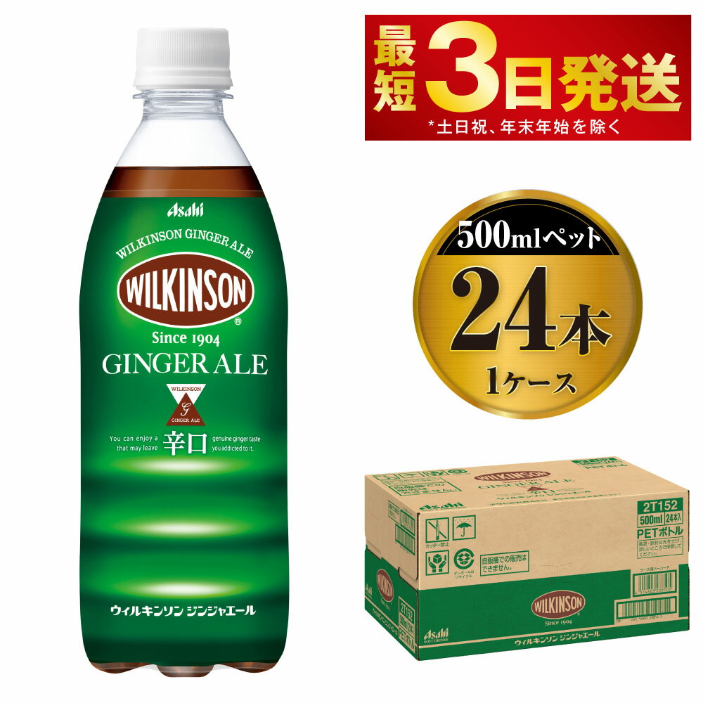 【ふるさと納税】ウィルキンソン　ジンジャーエール　500mlペット　24本入り1ケース　【飲料類・炭酸飲料・ウィルキンソンジンジャーエール・炭酸・ジンジャーエール】