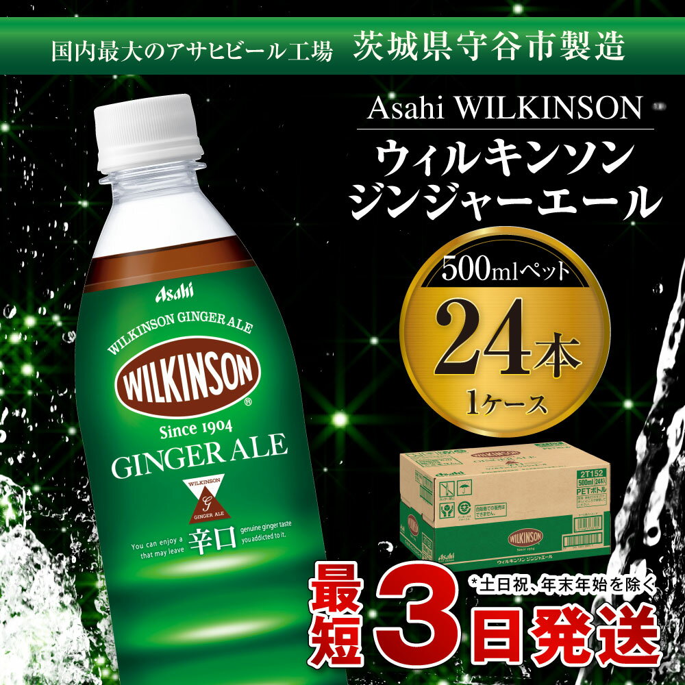 【ふるさと納税】ウィルキンソン　ジンジャーエール　500mlペット　24本入り1ケース　【飲料類・炭酸飲料・ウィルキンソンジンジャーエール・炭酸・ジンジャーエール】