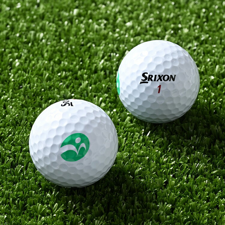 【ふるさと納税】【期間限定】【定期便2ヶ月】ゴルフ ボール スリクソン SRIXON Z-STAR XV 2023 モデル 2ダース(24個)×2ヶ月 合計48個 【守谷市オリジナルデザイン】