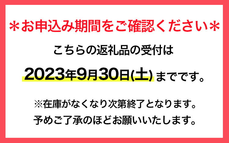 【ふるさと納税】【期間限定】ゴルフ ボール タイトリスト Titleist PRO V1x 2023 モデル 2ダース(合計24個) 【守谷市オリジナルデザイン】