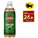 【ふるさと納税】ウィルキンソン タンサン ジンジャーエール ペットボトル 500ml ×24本(1ケース)| 炭酸水 炭酸 辛口 刺激、強め 強炭酸 酒のみらい mirai
