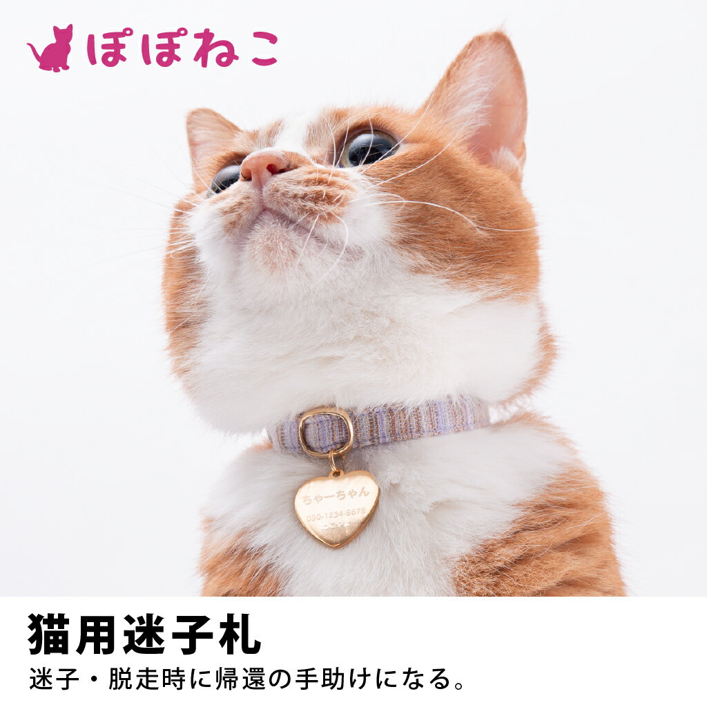 【ふるさと納税】ぽぽねこ ギフト券 3,000...の紹介画像3