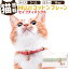 【ふるさと納税】<選べるサイズ・カラー>ぽぽねこ 猫首輪 MUJIコットンプレーン セイフティバックル..