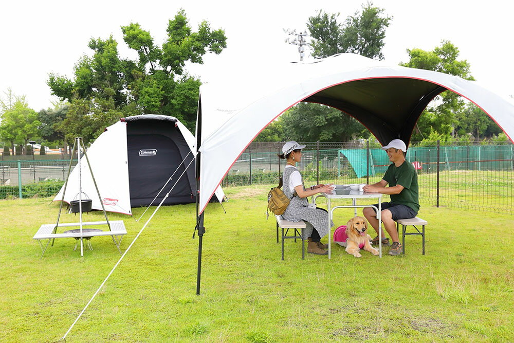 【ふるさと納税】ランタン守谷 キャンプ場・ドッグパーク 共通施設利用券【15,000円分】 チケット キャンプ ドッグラン ドッグプール 体験 守谷市 茨城県 送料無料その2