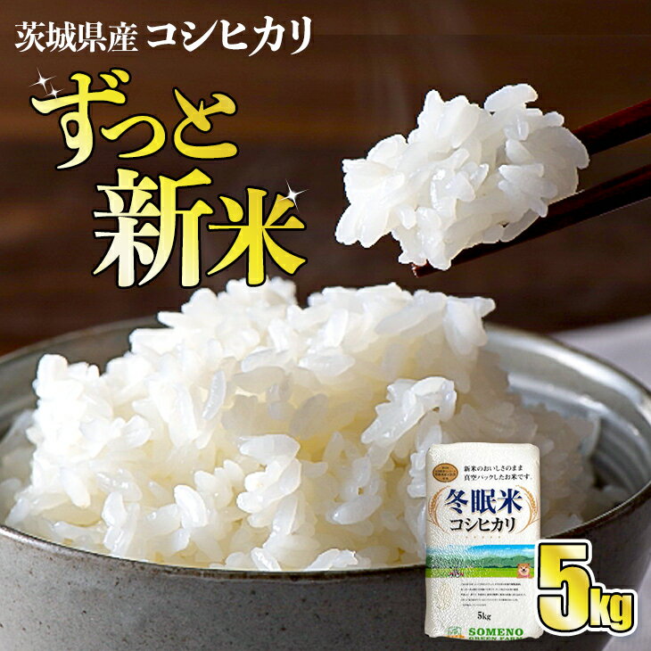 【ふるさと納税】令和5年産 コシヒカリ 冬眠米 5kg 茨城県産 白米 精米 ごはん...