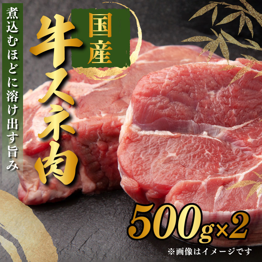 【ふるさと納税】国産 牛スネ肉 500g×2 合計1kg【小分け 茨城県産 カレー シチュー 煮込み料理 冷凍】